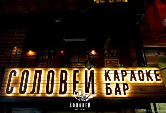 караоке-бар соловей фото 6 - karaoke.moscow